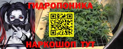 крисы Ипатово