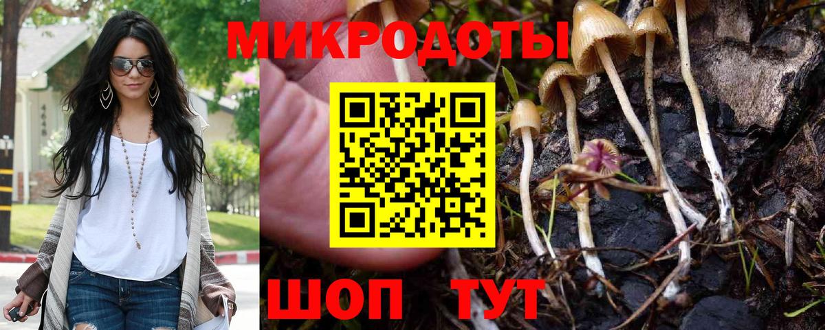 Лабытнанги  Псилоцибиновые грибы ЛСД  Галлюциногенные грибы Psilocybe  Вход с VPN 